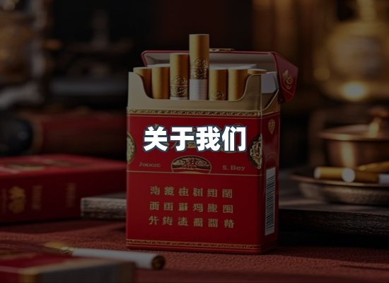 专业团队